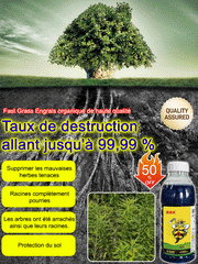 【Kup 1, a 2 dostaniesz gratis】 Wysoce skoncentrowany herbicyd glufosynat amonowy