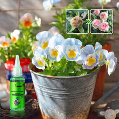 🌿 【🔥Oferta ograniczona czasowo🔥】【3 butelki 99 zł.】 Szybko działający roztwór składników odżywczych dla roślin – uniwersalny środek ukorzeniający dla wszystkich roślin (50% zniżki)