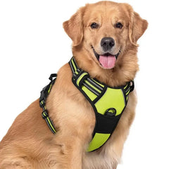 🐕 Szelki antyciągowe dla psa – koniec z szarpaniem i uciskiem na szyję