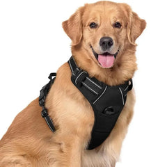 🐕 Szelki antyciągowe dla psa – koniec z szarpaniem i uciskiem na szyję