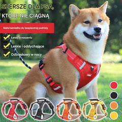 🔥Hit Sprzedaży 🐶 【5–30 kg】Szelka przeciw ciągnięciu – 🎁 Idealny prezent dla każdego miłośnika psów